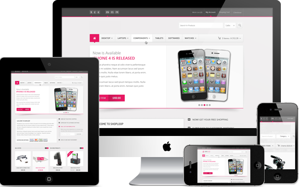 ds-informatique-we